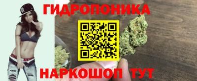 jwh Гудермес