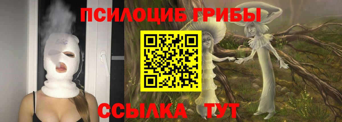 сколько стоит  Псилоцибиновые грибы Magic Shrooms  Выкса  Вход с VPN  Псилоцибиновые грибы Psilocybine cubensis 